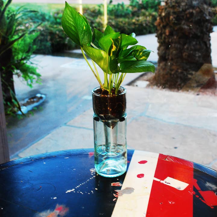 Refresh Glass - Wholesale Plant Pot - Self Watering Planter: Clear