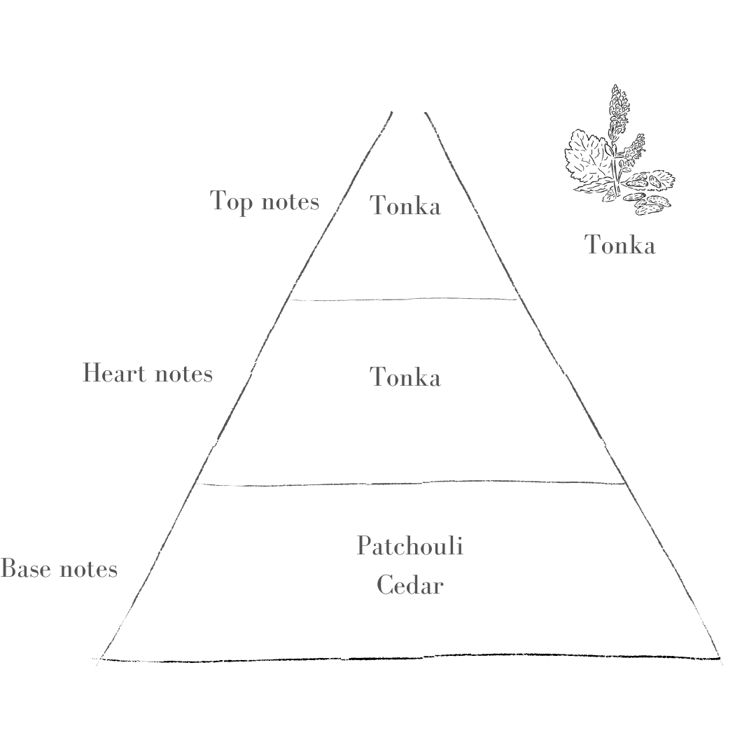 Pott – wholesale Jar/filled candle – Heather Candle With Tonka1