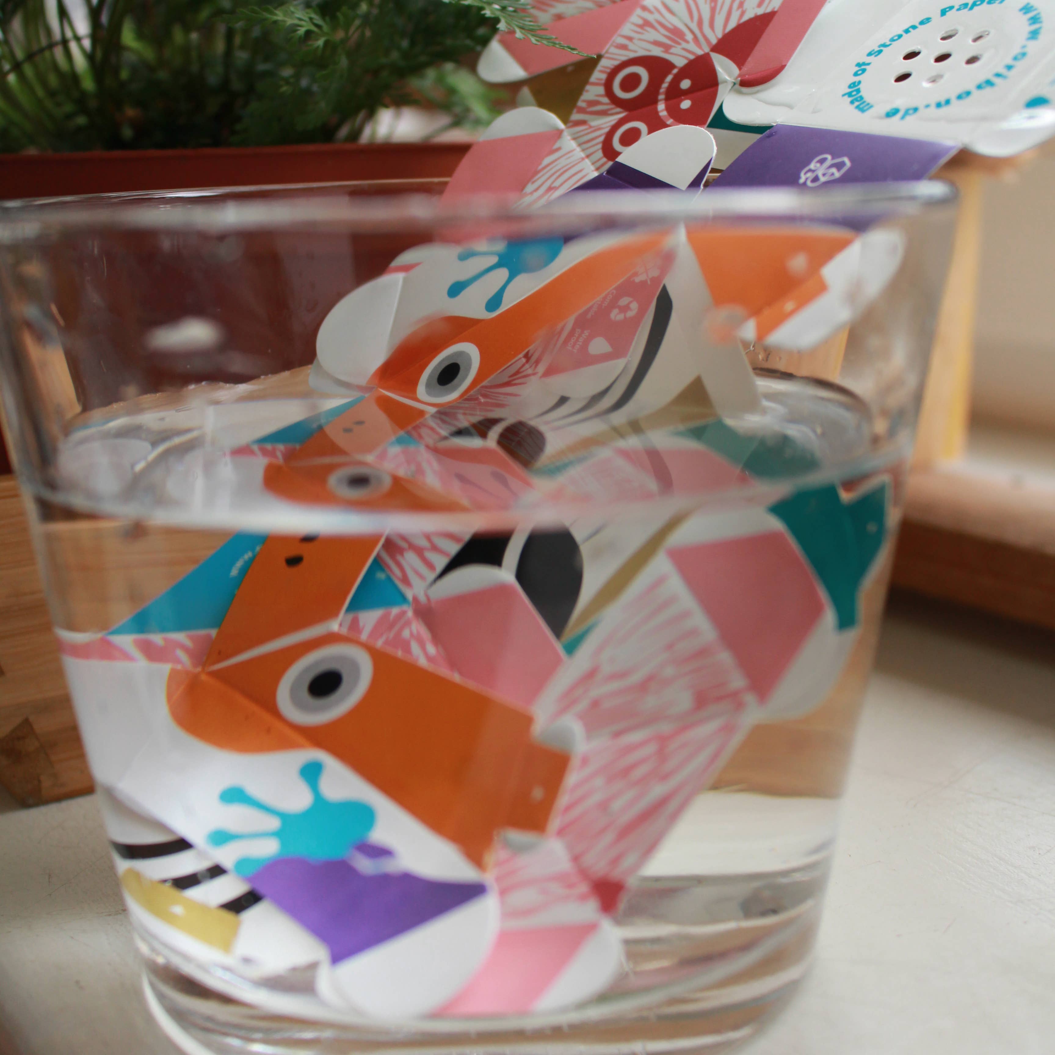 OriBon - Wholesale DIY Craft Kit - 3 OriBon - Rainforest animals collection11