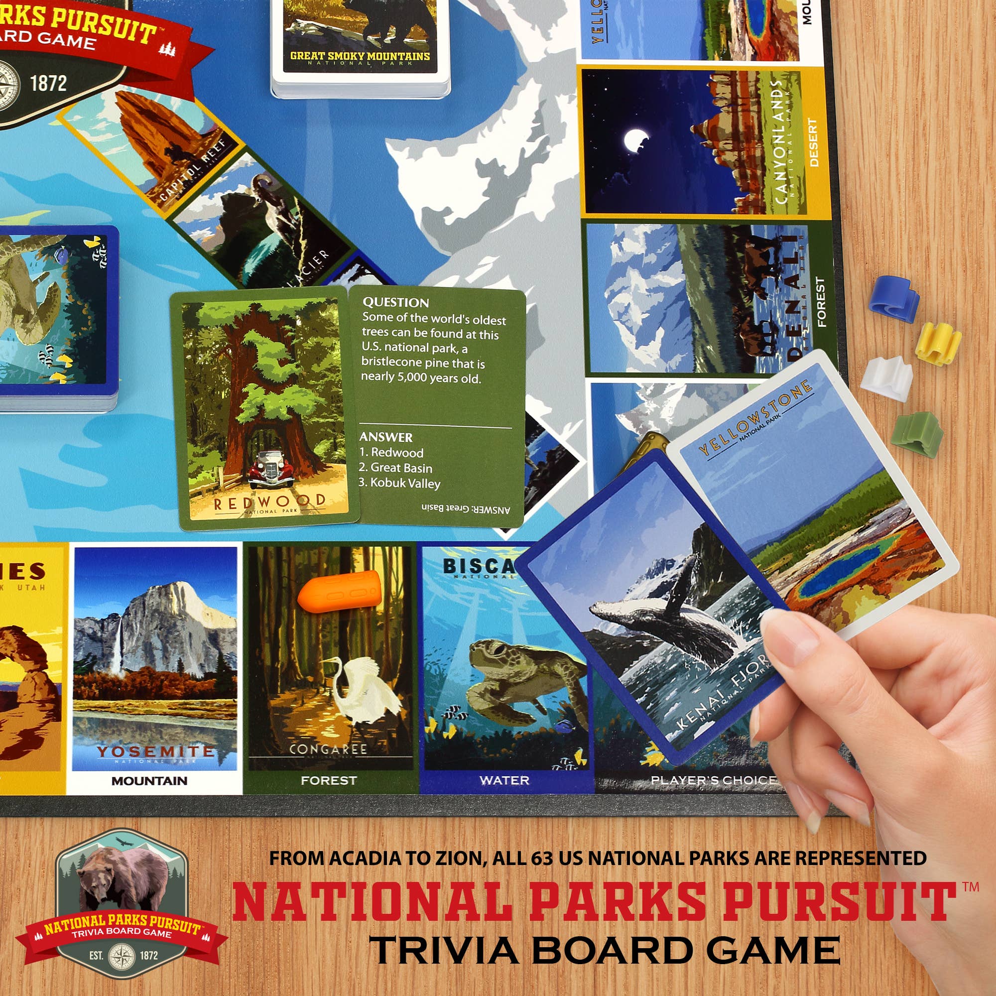 Funwares - Vendita all'ingrosso Giochi da tavolo - Gioco di Trivial sui Parchi Nazionali – Divertimento per Famiglie e Bambini1