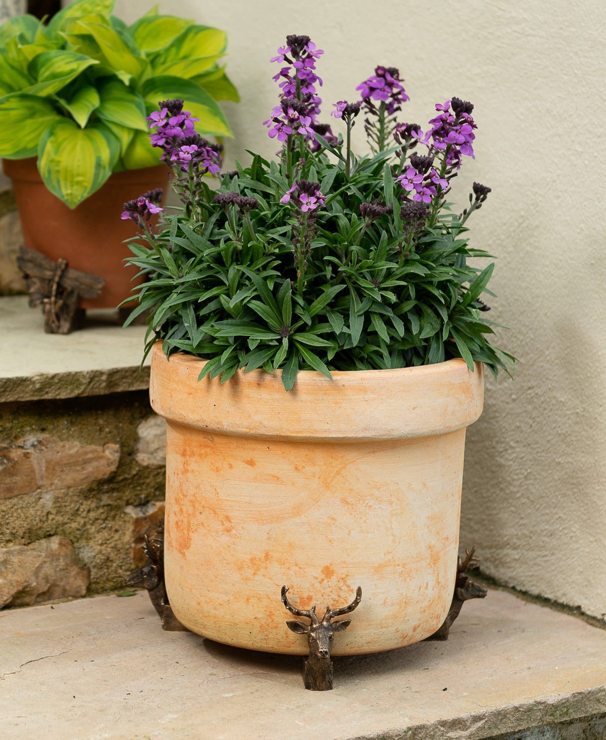 Jardinopia US - Wholesale Plant Pot Stand - Stag Plant Pot Feet - Set of 33