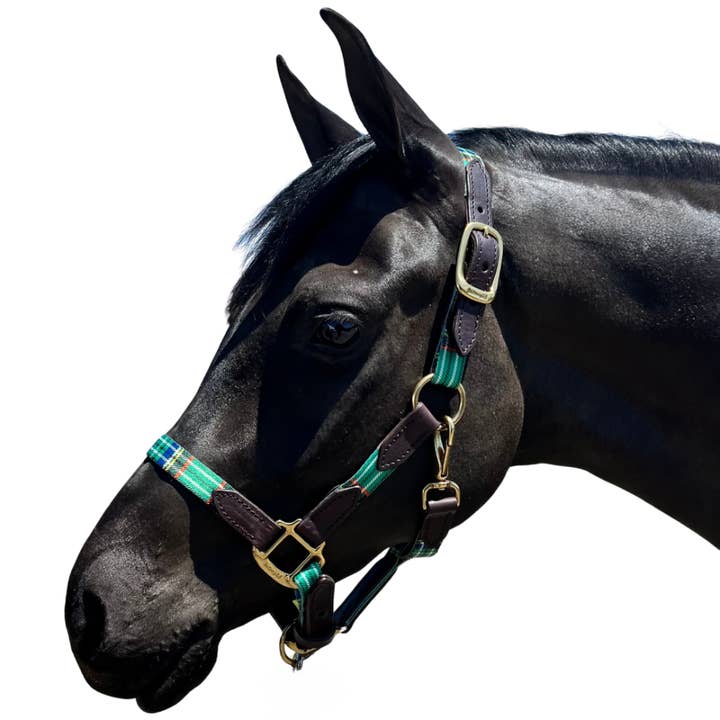 Intrepid International - Wholesale Horseback Riding Gear - 1" Highland Plaid Nylon Halter with Leather Accents