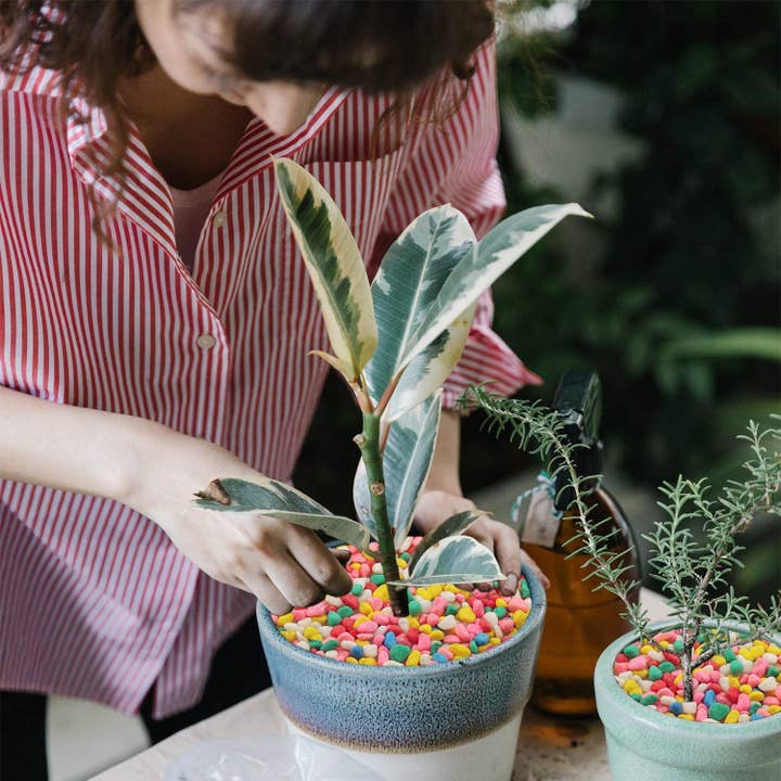 Tsyware - Wholesale Art Stones - 1 Pound Natural & Colorful River Rocks for Decor and Garden4