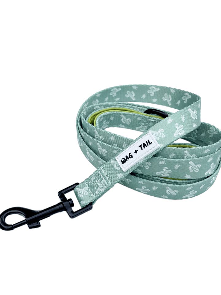 Dog Leash - Prickly Paws for wholesale by Wag + Tail