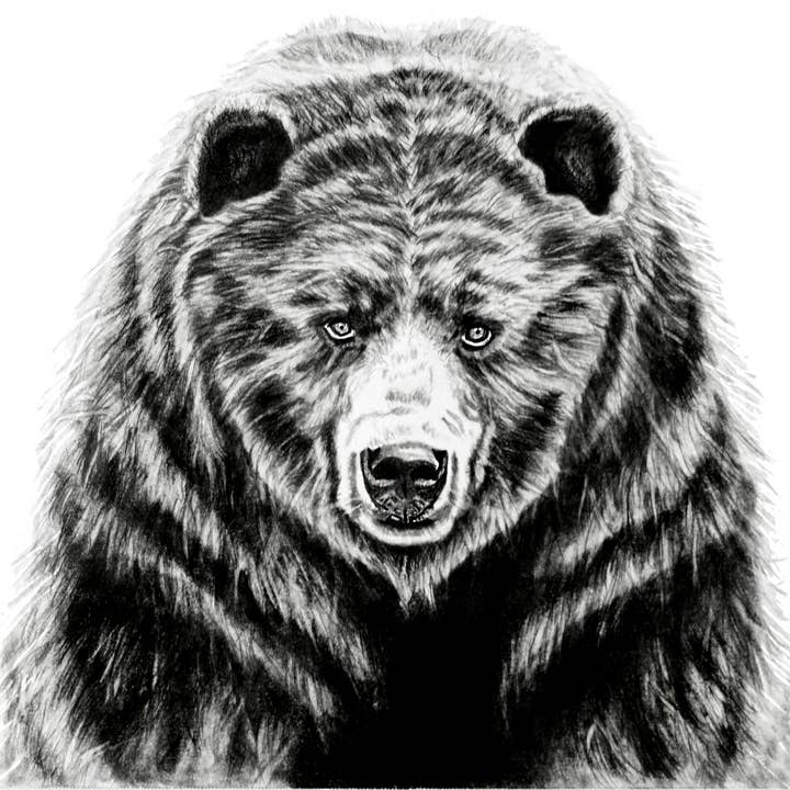 Ole Griz: Woodland Wildlife Series Art Print for wholesale by Dark Fox Creative