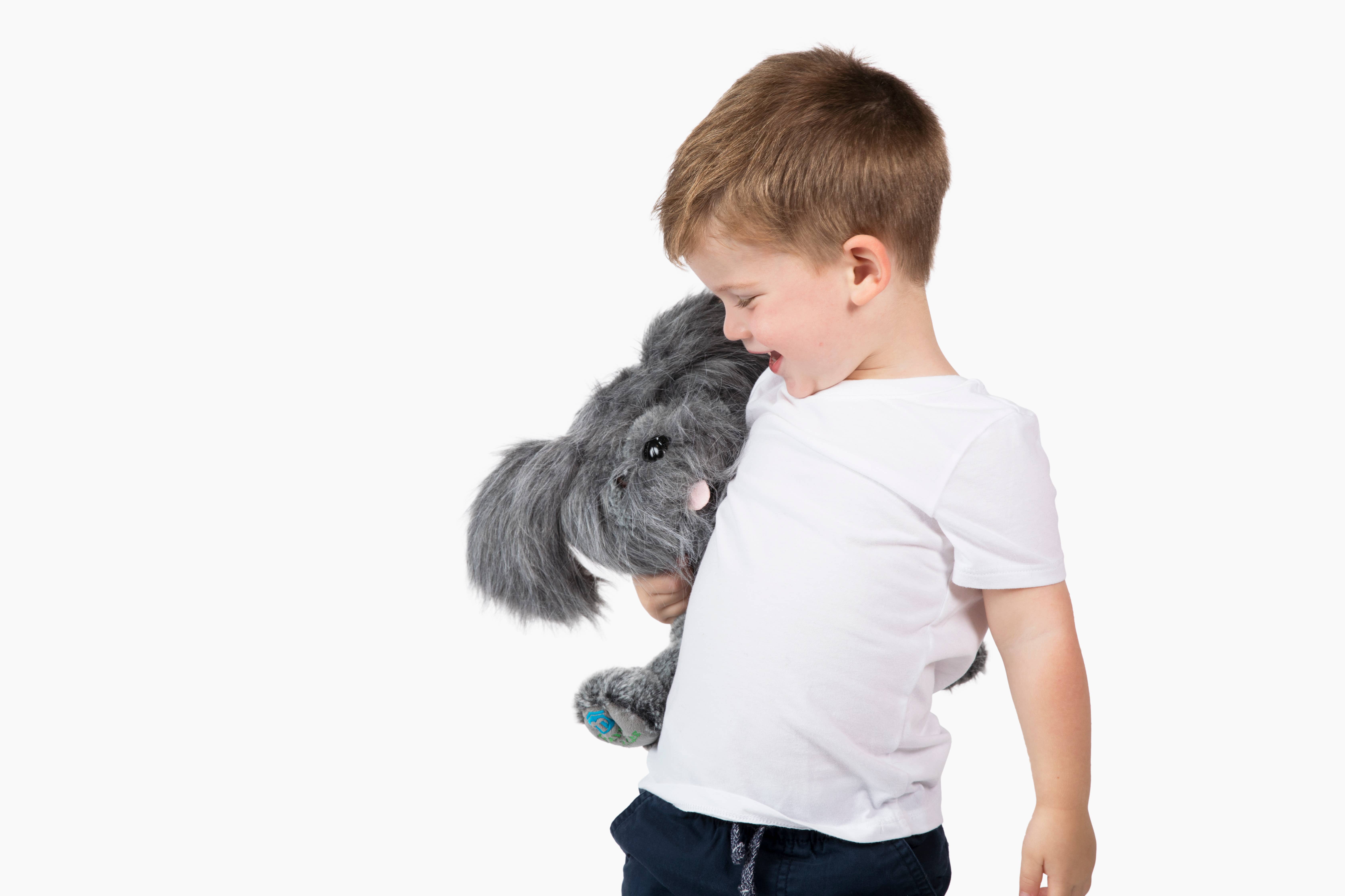 Bene World Toys - Wholesale Stuffed/Plush Toy - Kids & Baby - Stuffed dog with storybook pet care gifts for kids1