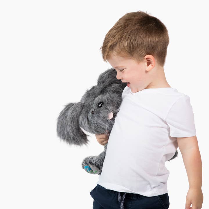 Bene World Toys - Wholesale Stuffed/Plush Toy - Kids & Baby - Stuffed dog with storybook pet care gifts for kids1