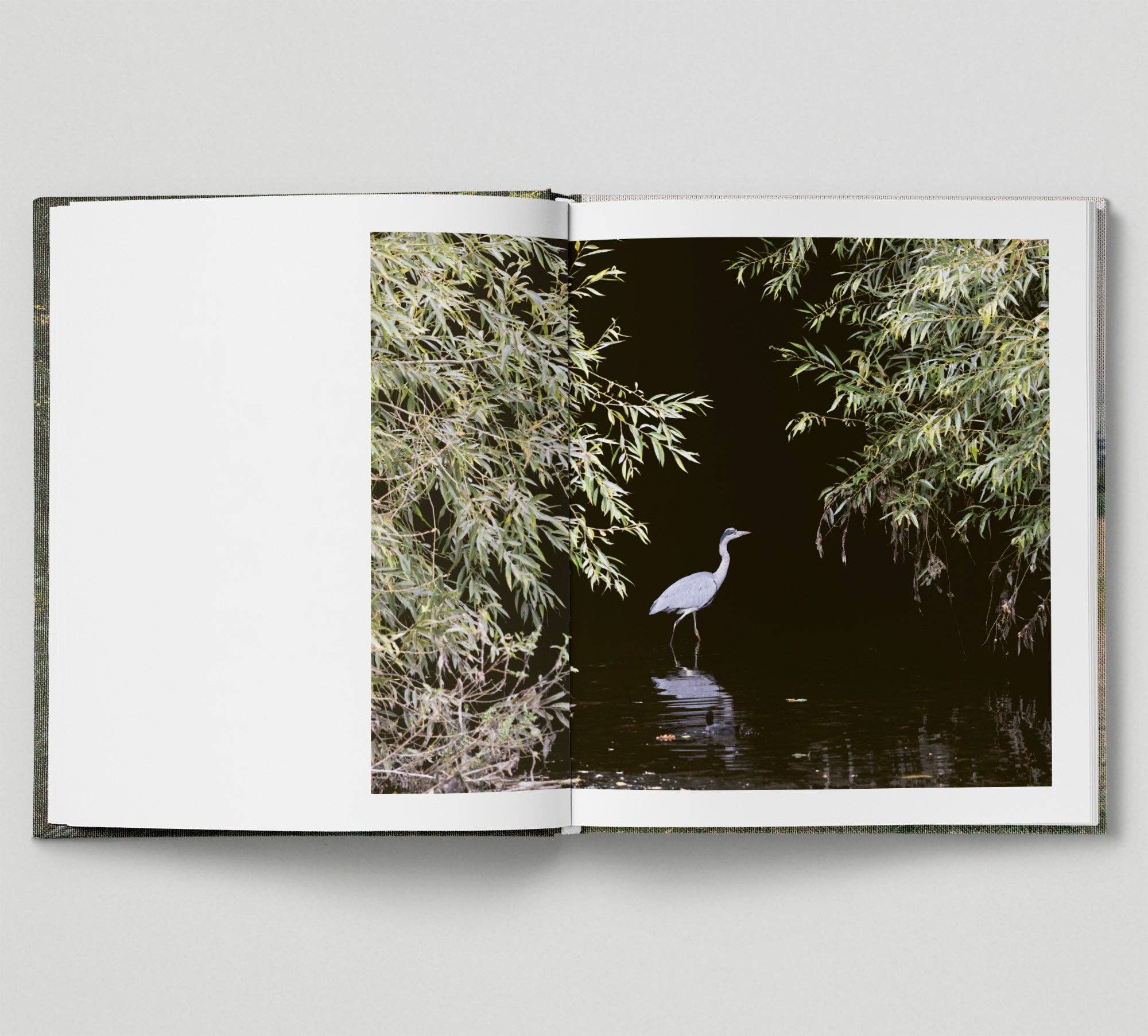 Hoxton Mini Press – wholesale Nature & Outdoors – The Hackney Marshes6