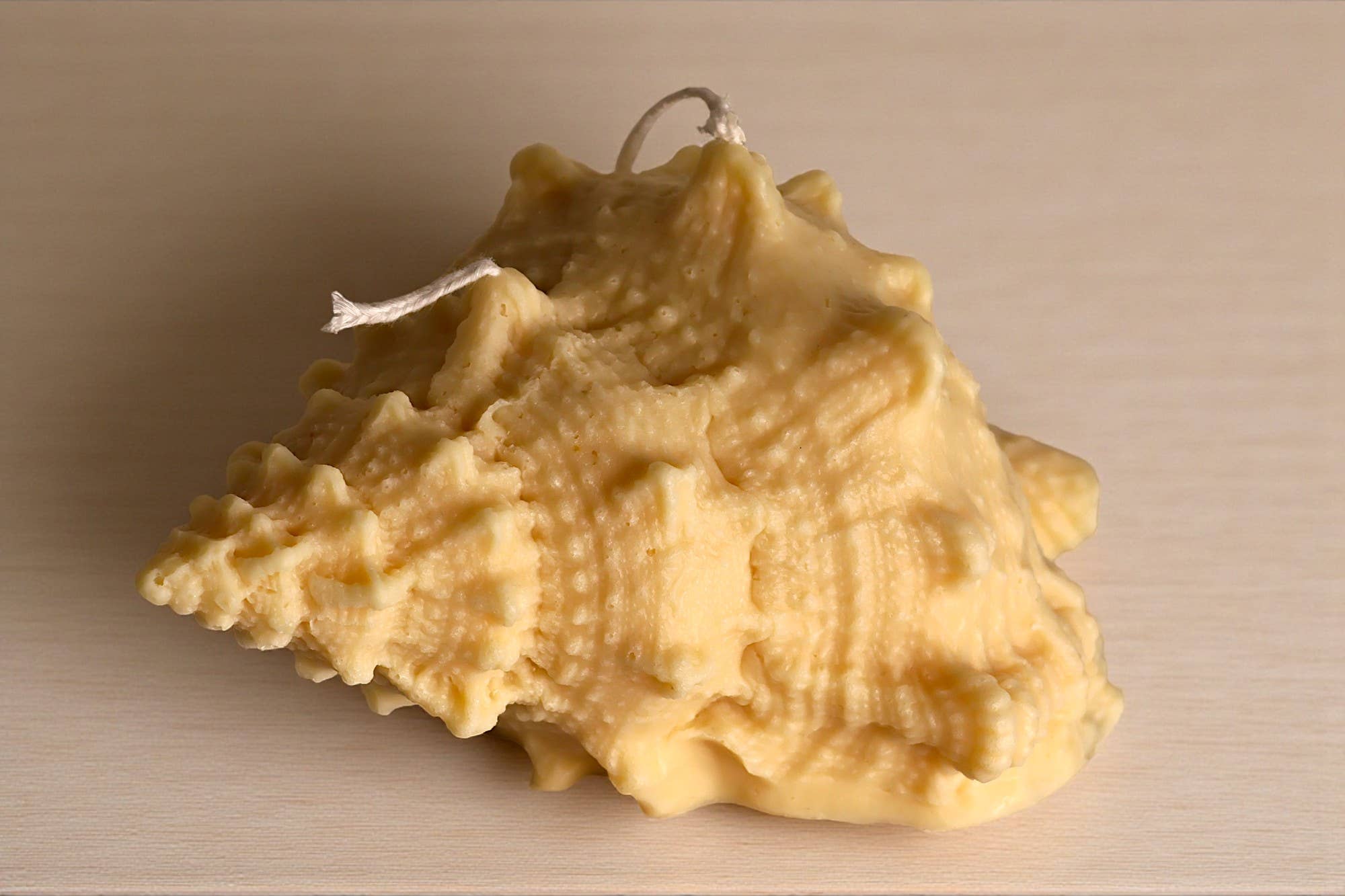 Agaboo Candle – Großhandel Geschenkkerze – Riesige natürliche Muschelkerze 4x7x5in8