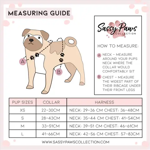 Sassy Paws Collection – Engroshandel Kæledyrssele – Hund – Hundebrystsele - 'Black Panther'11