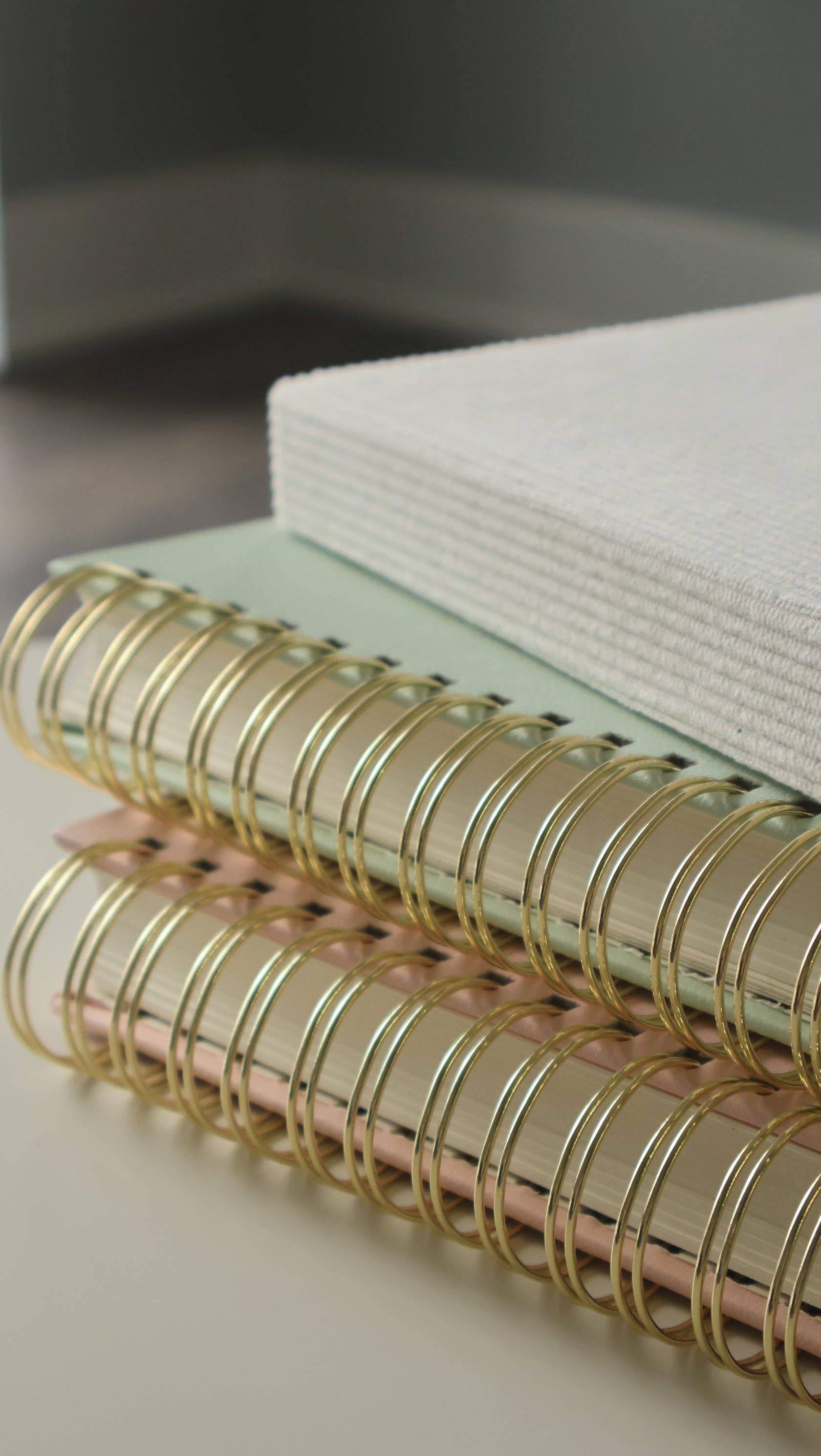 Living In Light - Venta al por mayor Agendas - Planificador Espiral de Cuero Premium - Planificador Cristiano Moderno Sin Fechar con Estudio Bíblico, Establecimiento de Metas, Solicitudes de Oración, Rastreador de Presupuesto Financiero y Más | Cuero Menta y Rosa Rubor con Espiral Dorada9