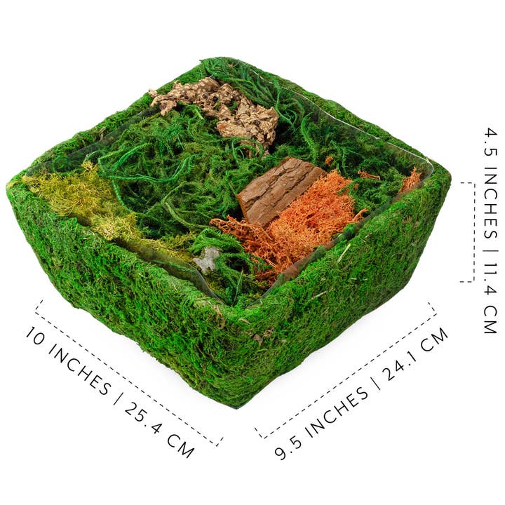 Kurated Korner – wholesale Terrarium – Esterno DIY Torkad Mossa Förtrollat Landskap Terrarium Startpaket