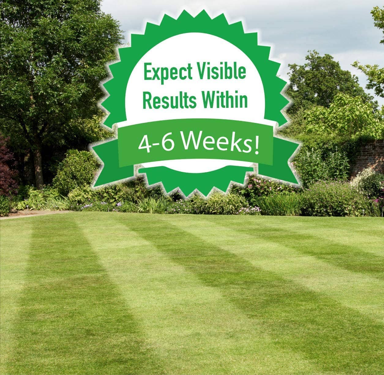 Peterals - Wholesale Pet Supplement - Dog - Peterals 200g3