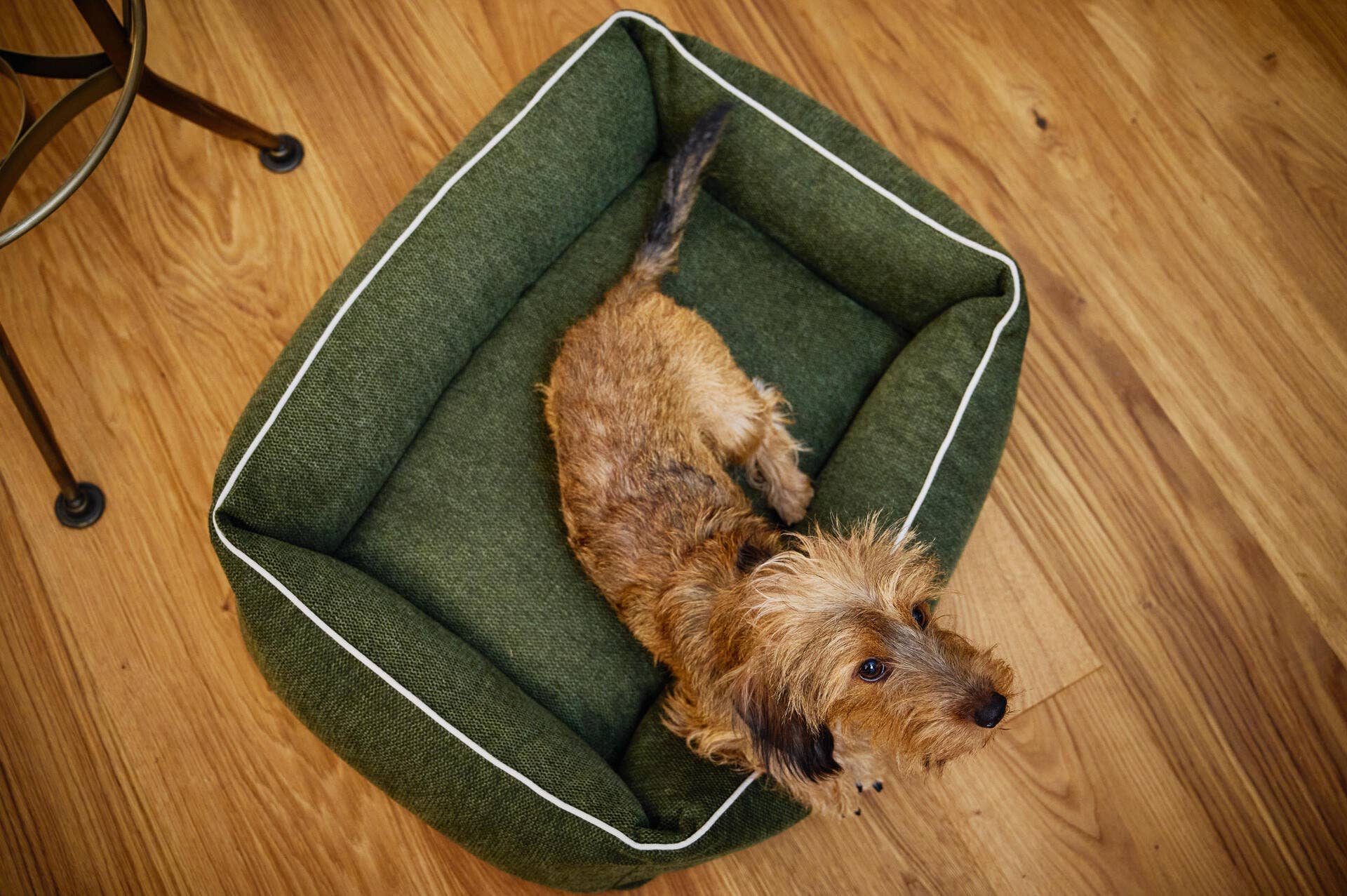 LABONI - Volentis GmbH – wholesale Pet bed – Dog – DOGGY DOG19