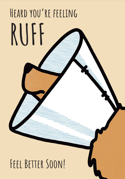 Only An Ocean Europe - Vendita all'ingrosso Snack - Cani - Cartoline commestibili personalizzabili per cani14