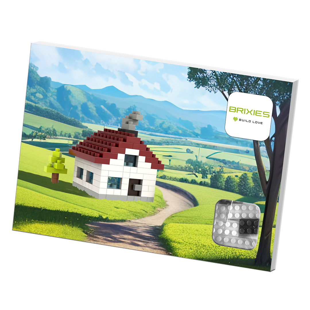 Brixies - Wholesale Build-a-Toy - Kids - BRIXIES Postcard House3