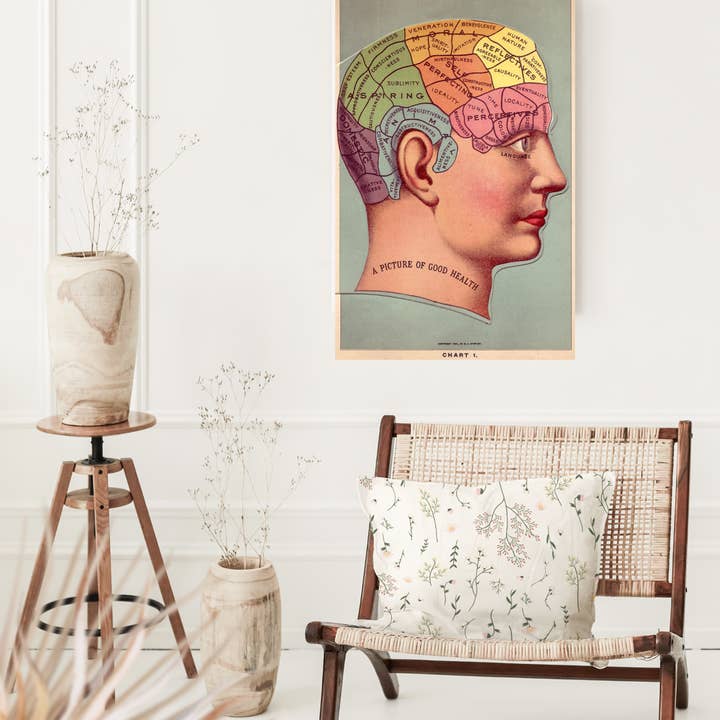 Barbara Decor – wholesale Poster – 16x24" Poster, Vintage Phrenology Poster Print, Brain Art5