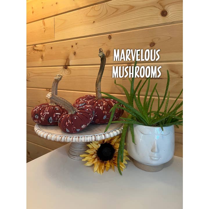 Leanne Bruce Co. - Wholesale Decorative Tabletop Object - Fabric Pumpkin Sets/3 Fall to Summer Home Decor <Limited>18