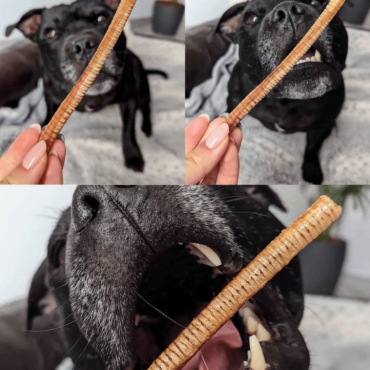 Truffe Délice - Wholesale Hondenkoekjes - Hond - Ganzenluchtpijpen1