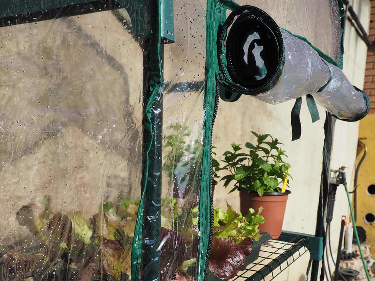 JARDIN Y NATURA OUTDOOR & GARDEN PRODUCTS SL - Wholesale Trellis - Greenhouse with 3 shelves - CRECE32