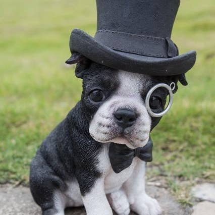 Boston Terrier W/Top Hat, Spectacle, & Bow Tie Statue for wholesale by Hi-Line Gift Ltd.