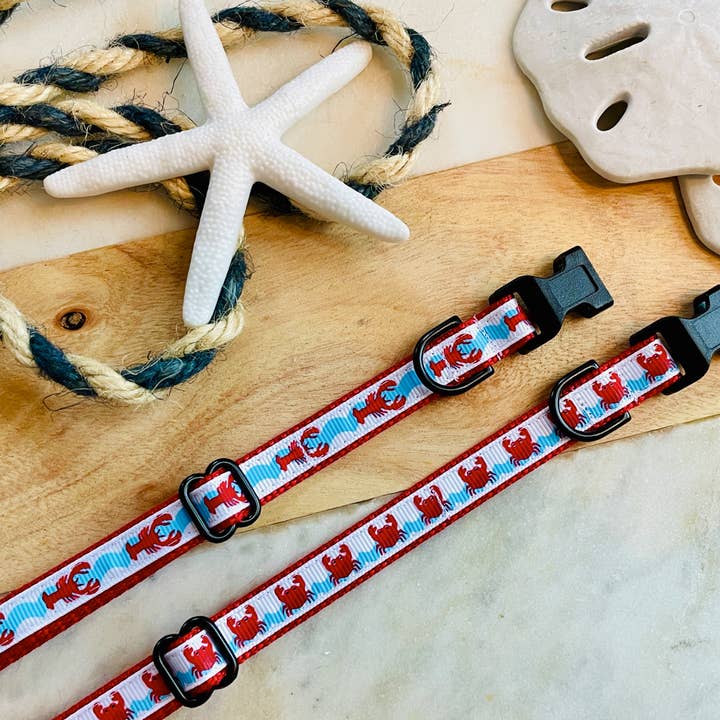 Chiot de bord de mer pour la vente par Hollywoof Styles