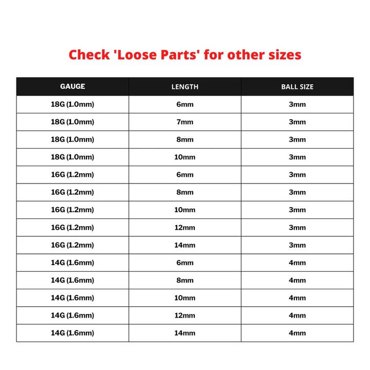 Bodytrend - Wholesale Lip Ring - Titanium-Lip Ring Vertical Labret Internal / External4