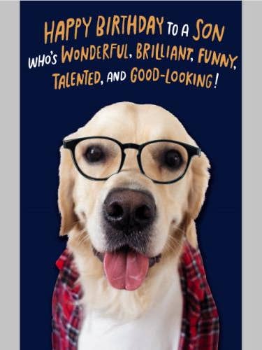 Birthday Son| AGTC| MD| 7043712 for wholesale by DICKENS INC.