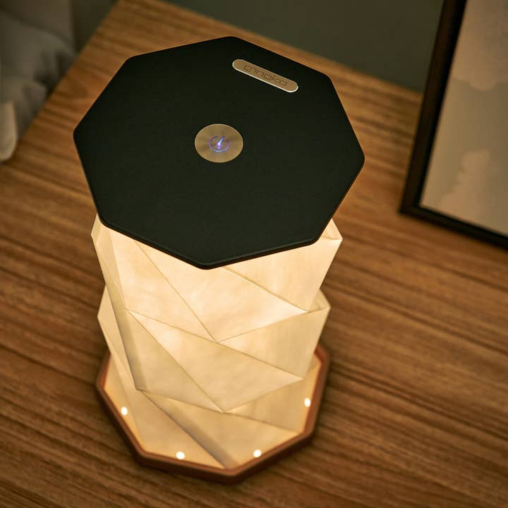 Gingko Design - Wholesale Accent/Desk Lamp - Twist Hexagon Lamp