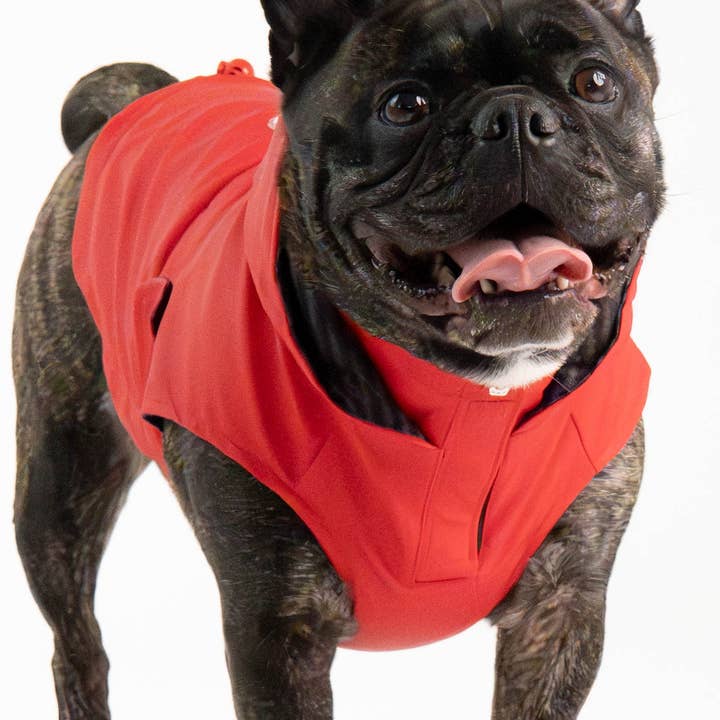 Aden 2.0 Manteau de Pluie pour Chien Rouge Imperméable, Ajustement Réglable, Passepoil Réfléchissant & Protection UV pour la vente par Silver Paw