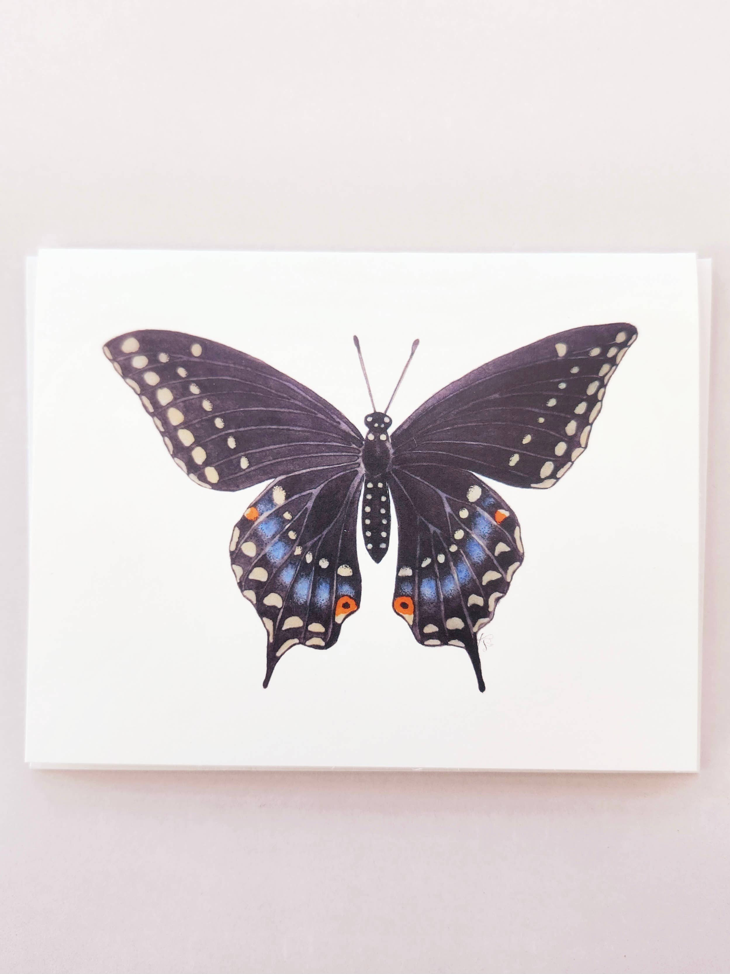 Redbriar Studio - Wholesale Stationery/Notecard Set - Notecards32