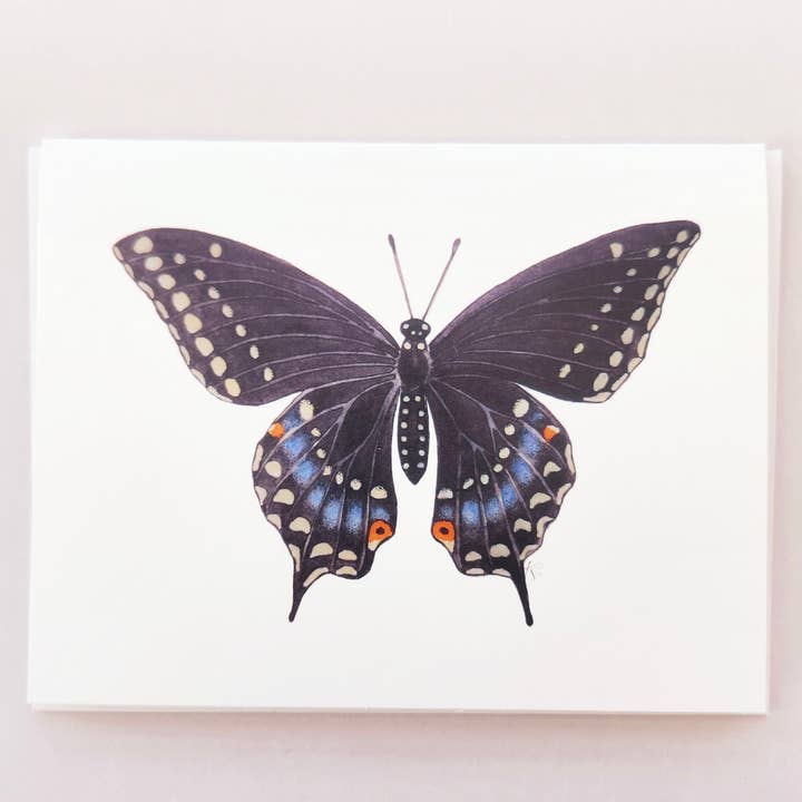 Redbriar Studio - Wholesale Stationery/Notecard Set - Notecards32