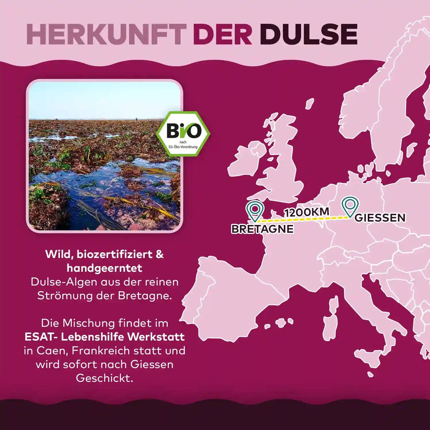 Algen Markt – wholesale Protein-/superfoodpulver – Dulseflingor3