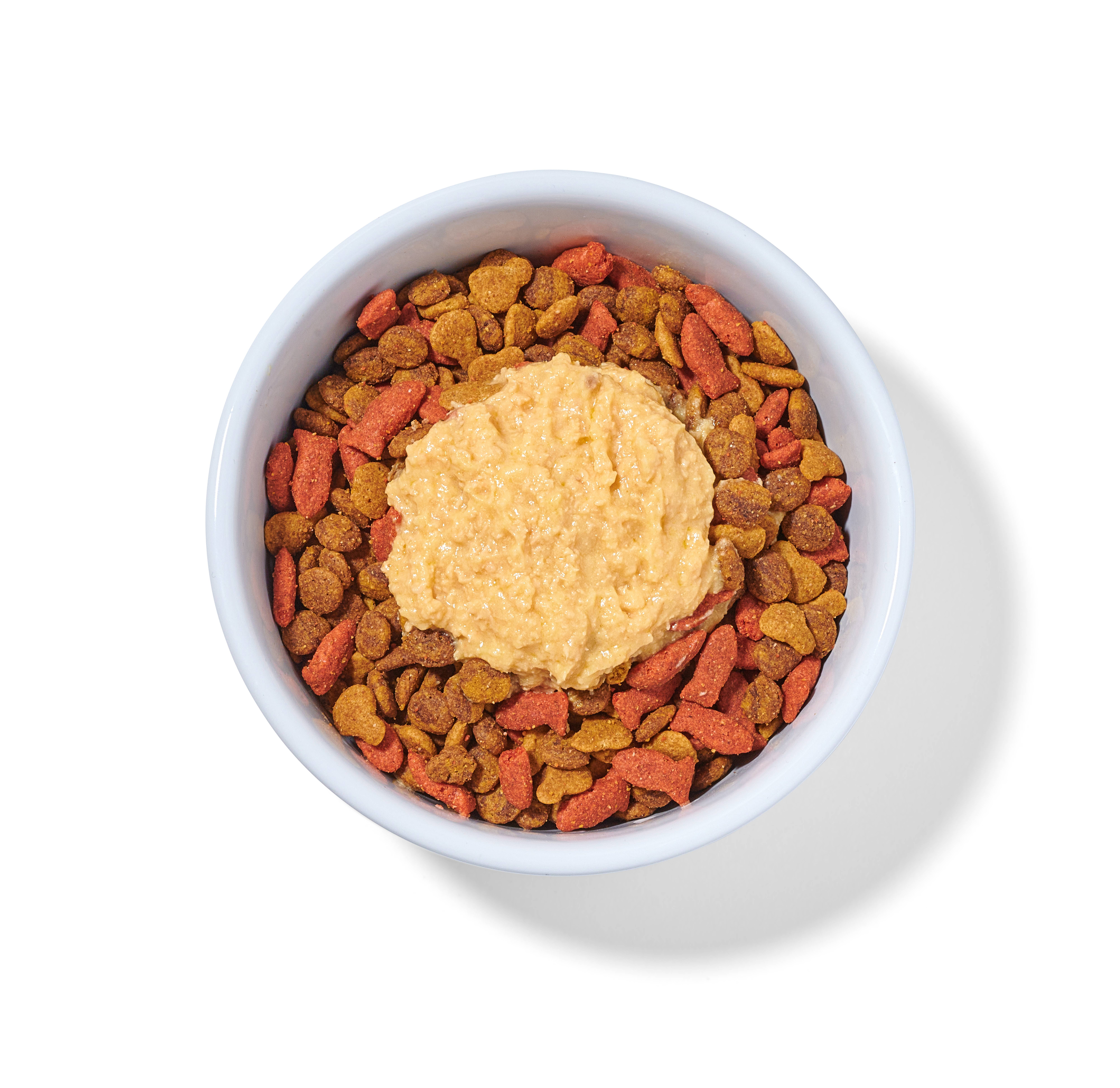 Portland Pet Food Company - Wholesale Pet Food - Cat - Luke's Chicken N' Pumpkin Human Grade Fresh Wet Food 3