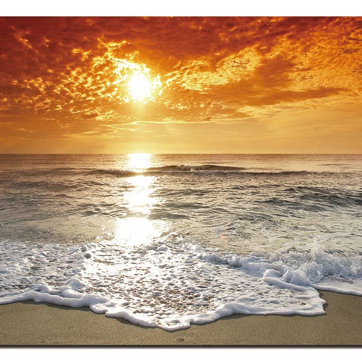 Oppidan Home Coucher de soleil côtier à la plage pour la vente par Amazing Rugs