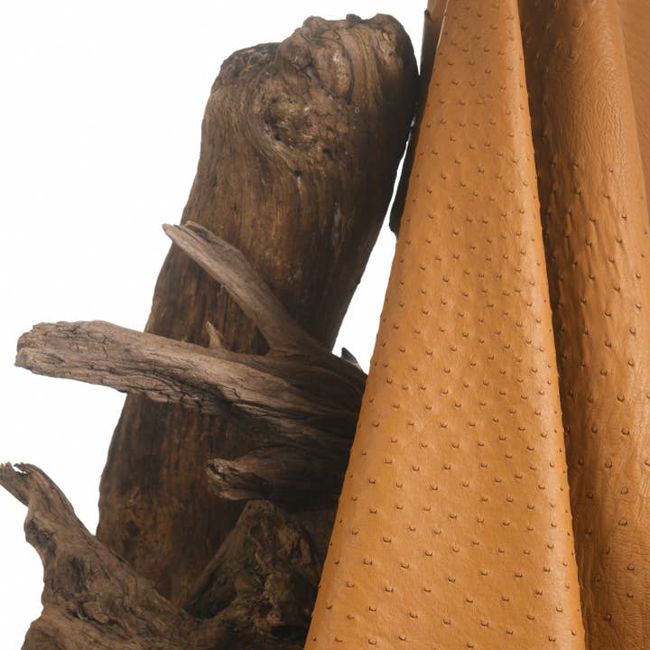 Camel Ostrich Leather for wholesale by MAISON SOLER TANNERIE