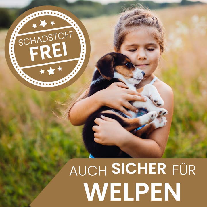 ne&no - Wholesale Pet Plush Toy - Dog - ne&no® Durable Dog Toy with Squeaker - Bunny Haru10