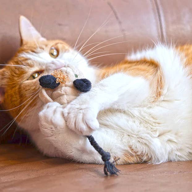 P.L.A.Y. Pet Lifestyle and You – wholesale Pet toy set – Cat – Feline Frenzy Menacing Mice Toy Set2