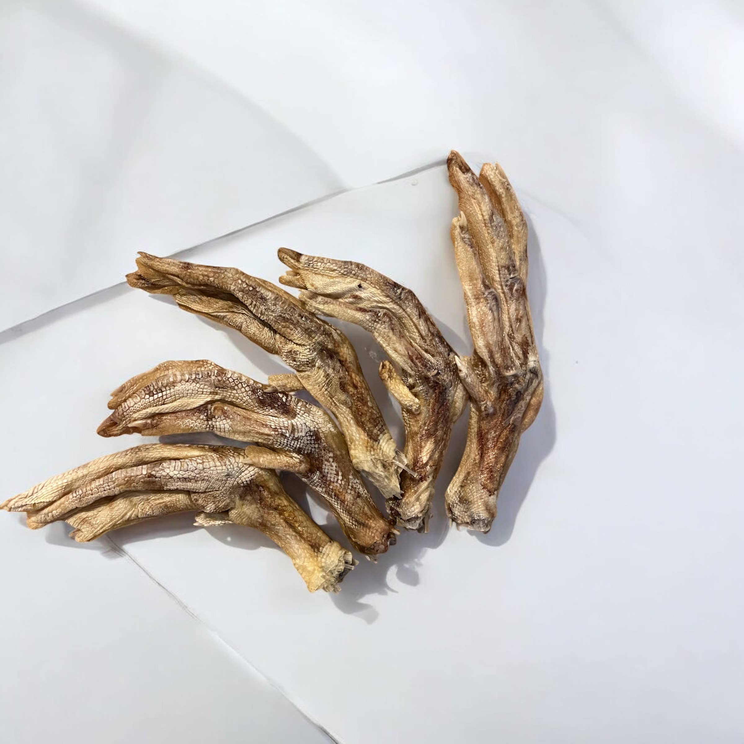 Wild West Raw - Wholesale Pet Treats - Dog - Jumbo Freeze Dried Duck Feet