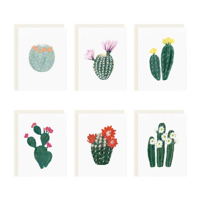 Our Heiday – wholesale Stationery/notecard set – Flowering Cacti Series Assorted Card Set