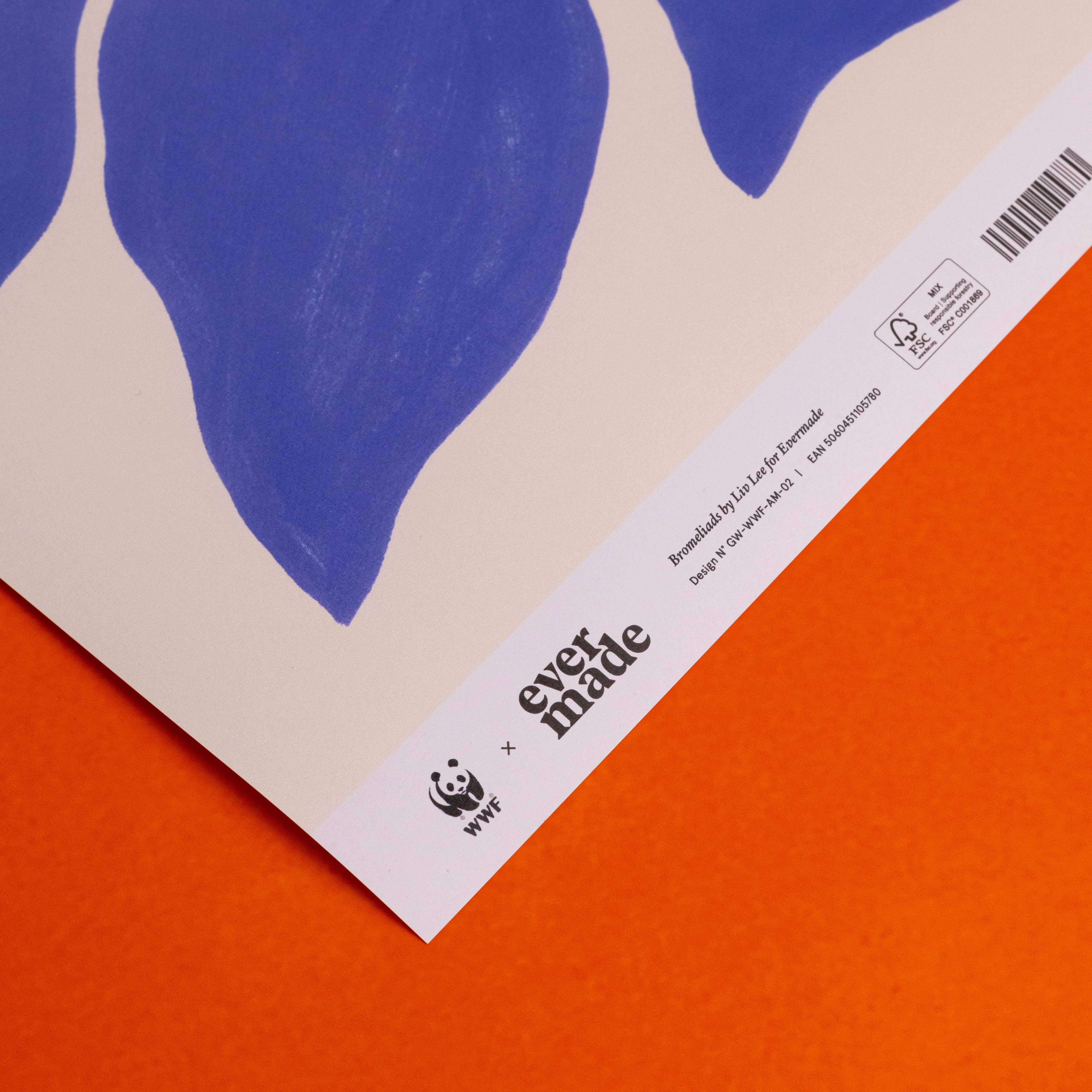 Evermade – wholesale Flat wrap – Bromeliads Gift Wrap by Liv Lee x WWF6