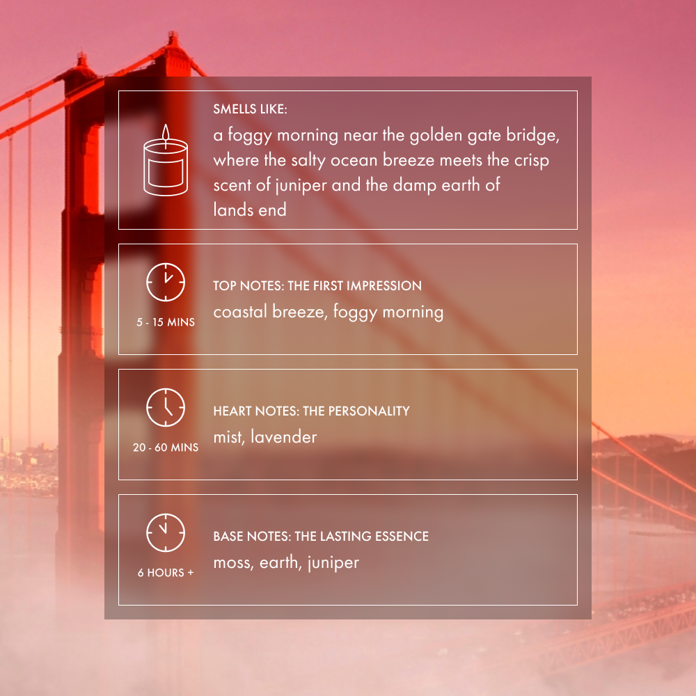 Footnotes - Wholesale Jar/Filled Candle - Karl the fog candle | fog, fern & coastal air, San Francisco1