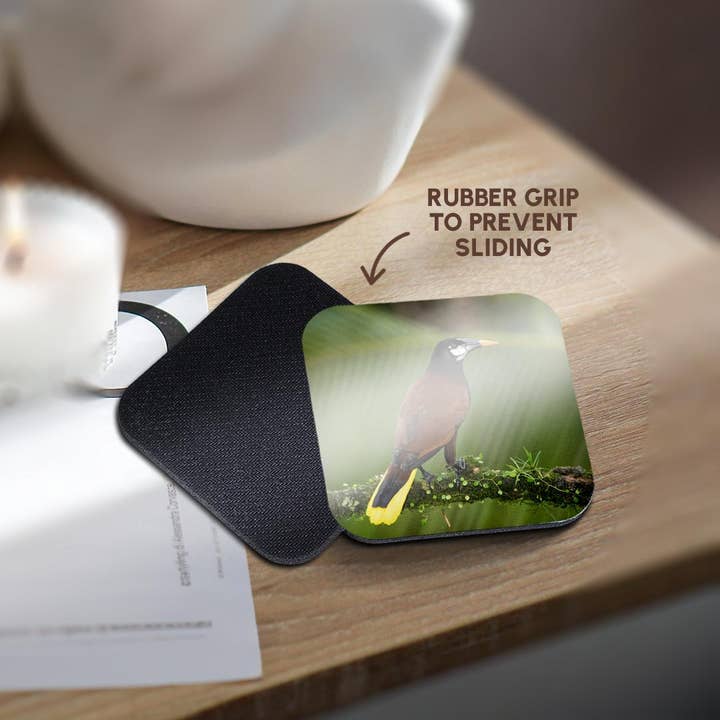 3dRose - Wholesale Coasters - 3dRose, Montezuma oropendola, Costa Rica, Central America, Coaster10