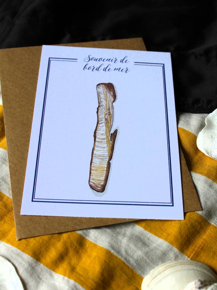 Postkarte Muschelmesser für den Großhandel von Au cœur des lunes