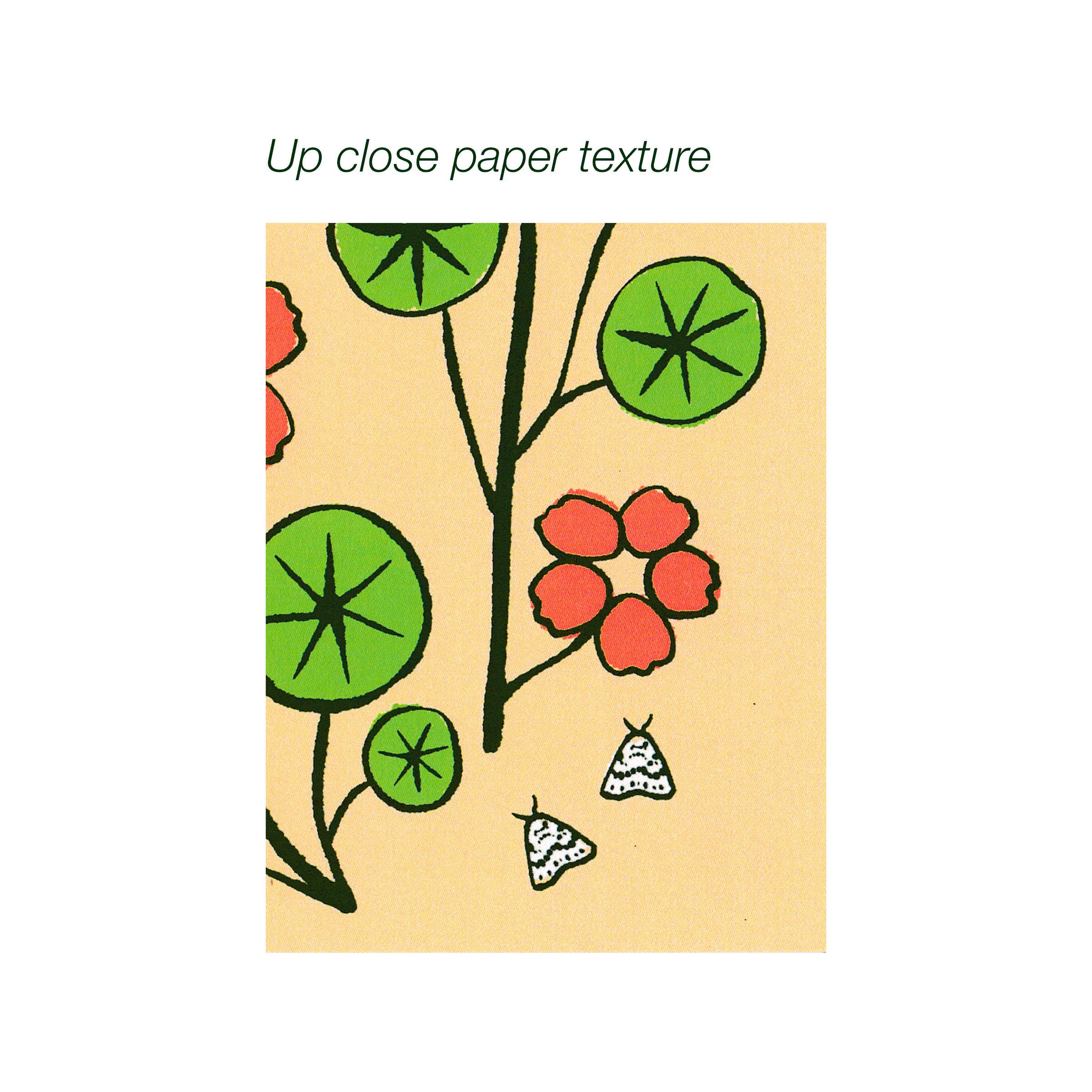 Christine Witmore - Wholesale Birthday Card - Nasturtium Happy Birthday Card, A21