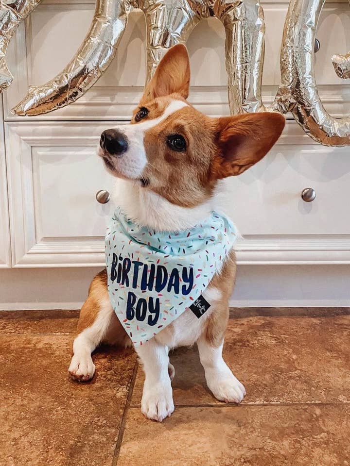 Birthday Dog Bandana - Dog Birthday Party for wholesale by Tails Up, Pup