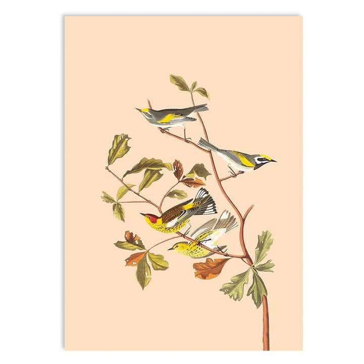 Efterår miniprint for engroshandel hos 30x40