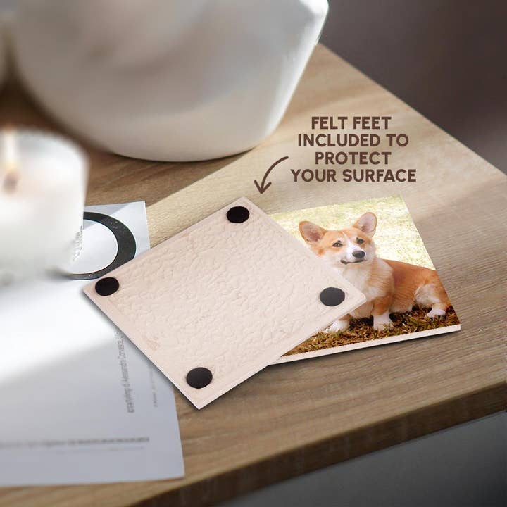 3dRose - Wholesale Coasters - 3dRose, Pembroke Welsh Corgi, Coaster3