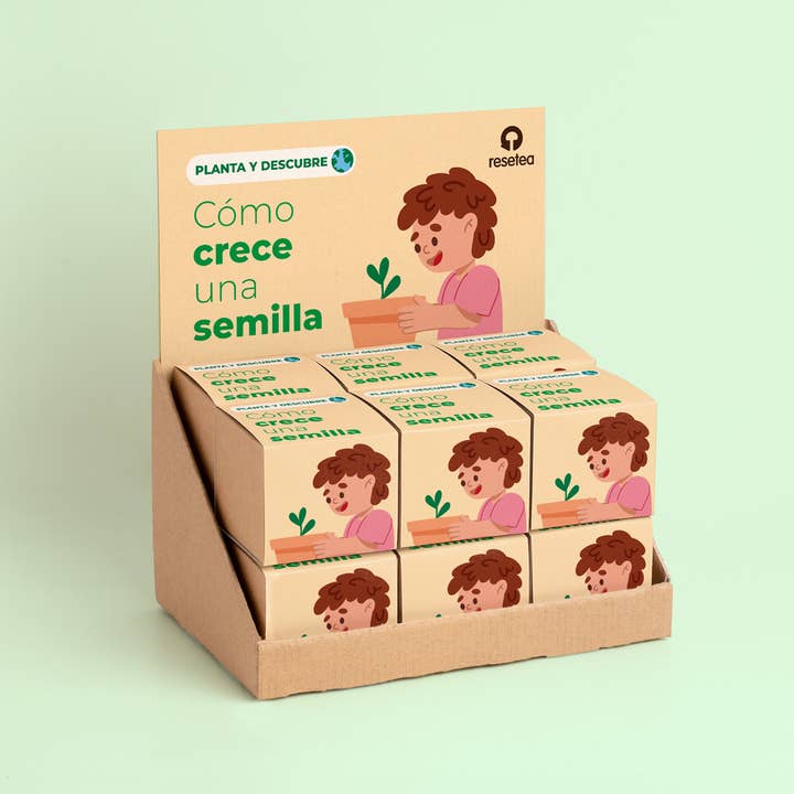 Exhibitor How a Seed Grows for wholesale by Resetea