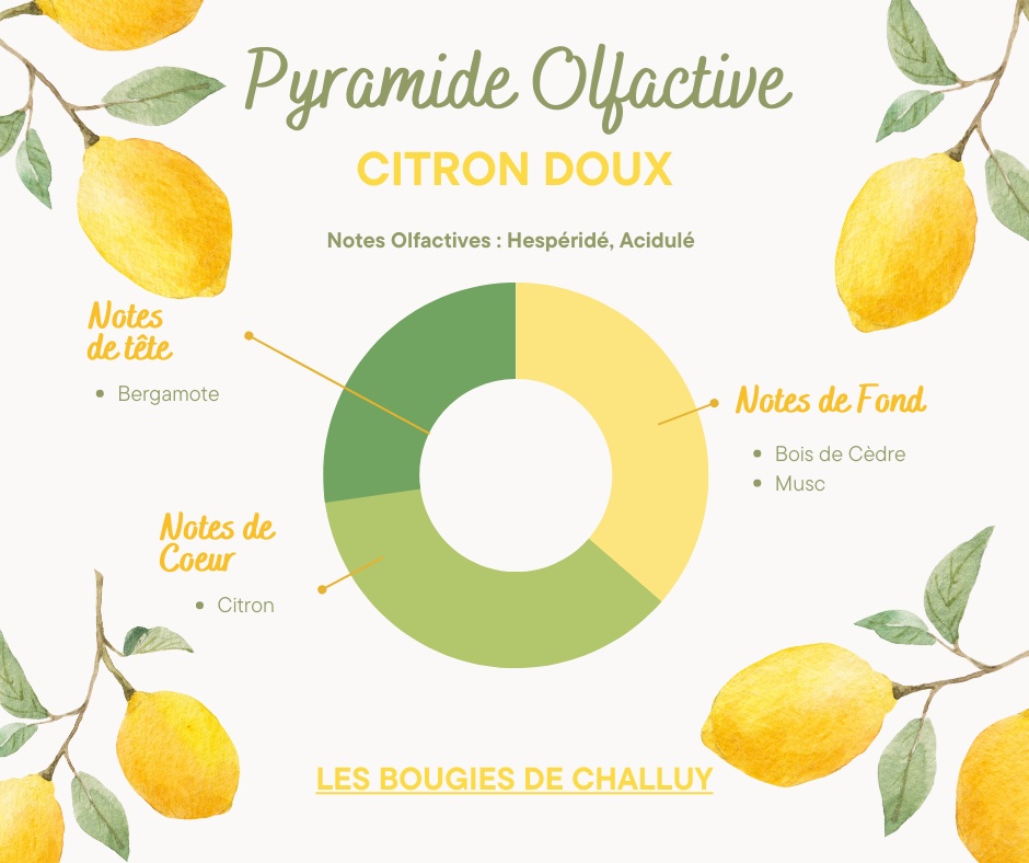 LES BOUGIES DE CHALLUY - Wholesale Jar/Filled Candle - “SWEET LEMON” CANDLE MADE IN NIÈVRE1